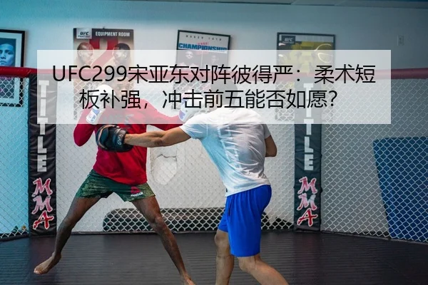 UFC299宋亚东对阵彼得严：柔术短板补强，冲击前五能否如愿？