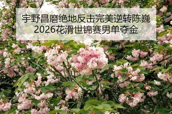 yu-ye-chang-mo-jue-di-fan-ji-wan-mei-ni-zhuan-chen-wei-hua-hua-shi-jin-sai-nan-dan-duo-jin-2-629.jpg